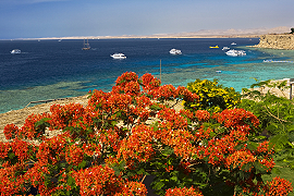 Djerba