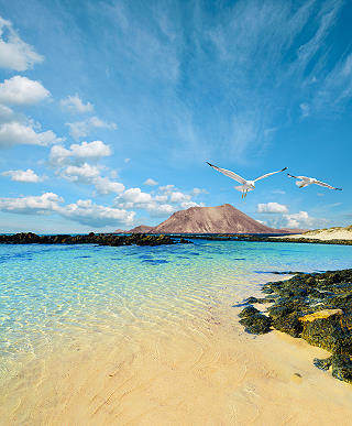 Fuerteventura 