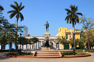 Kuba-Palm-trees